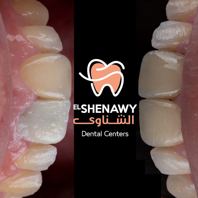 خدمات الشناوي