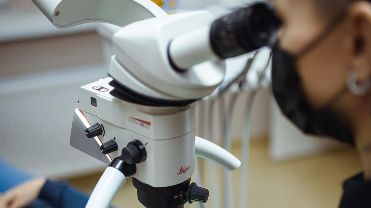safe dental treatment with microscope